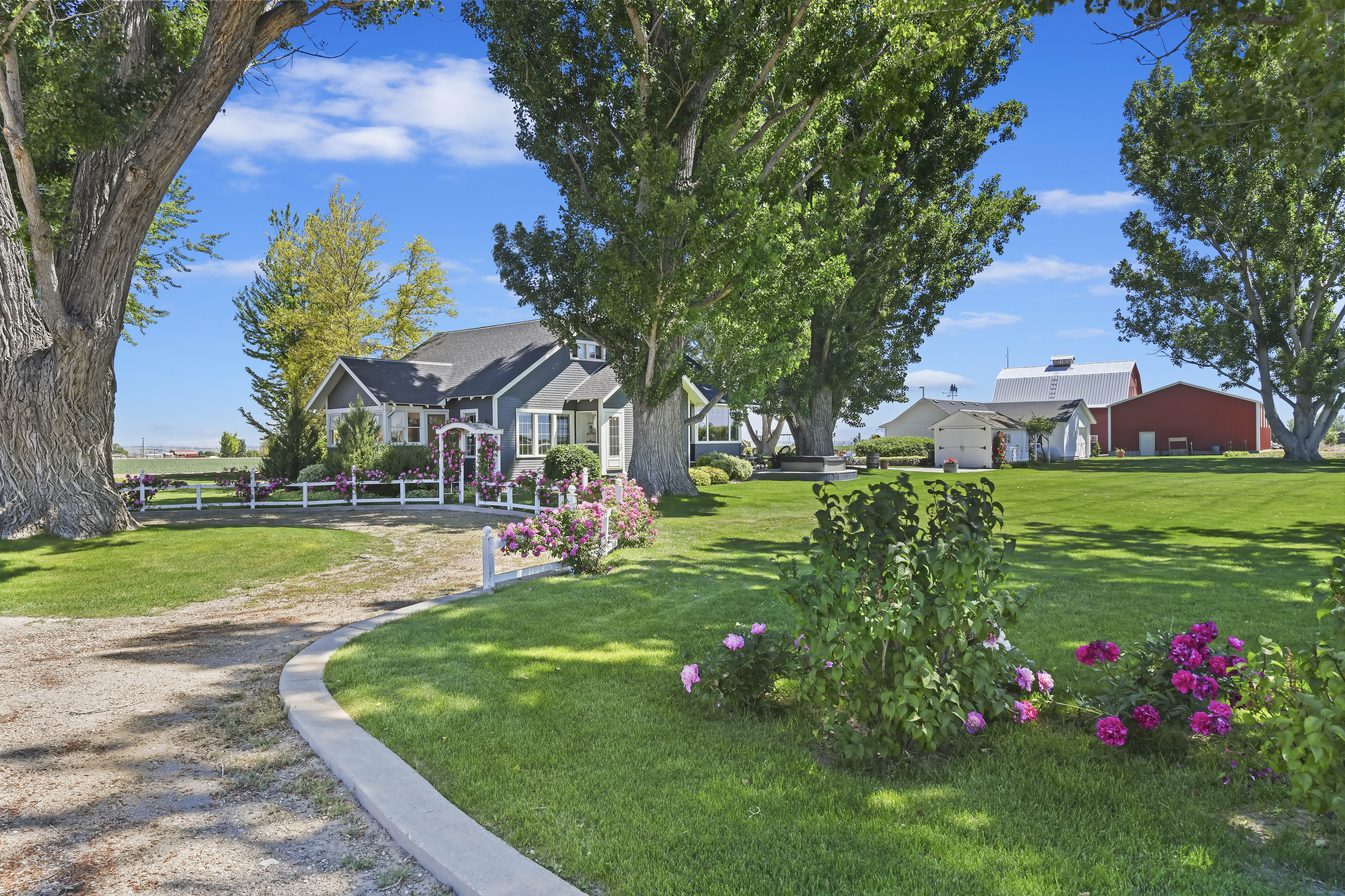 Charming Farmhouse, Huge Barn on 5 Acres